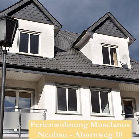 Ferienwohnungen Ferienland Cochem Bruttig-Fankel Exteriér fotografie