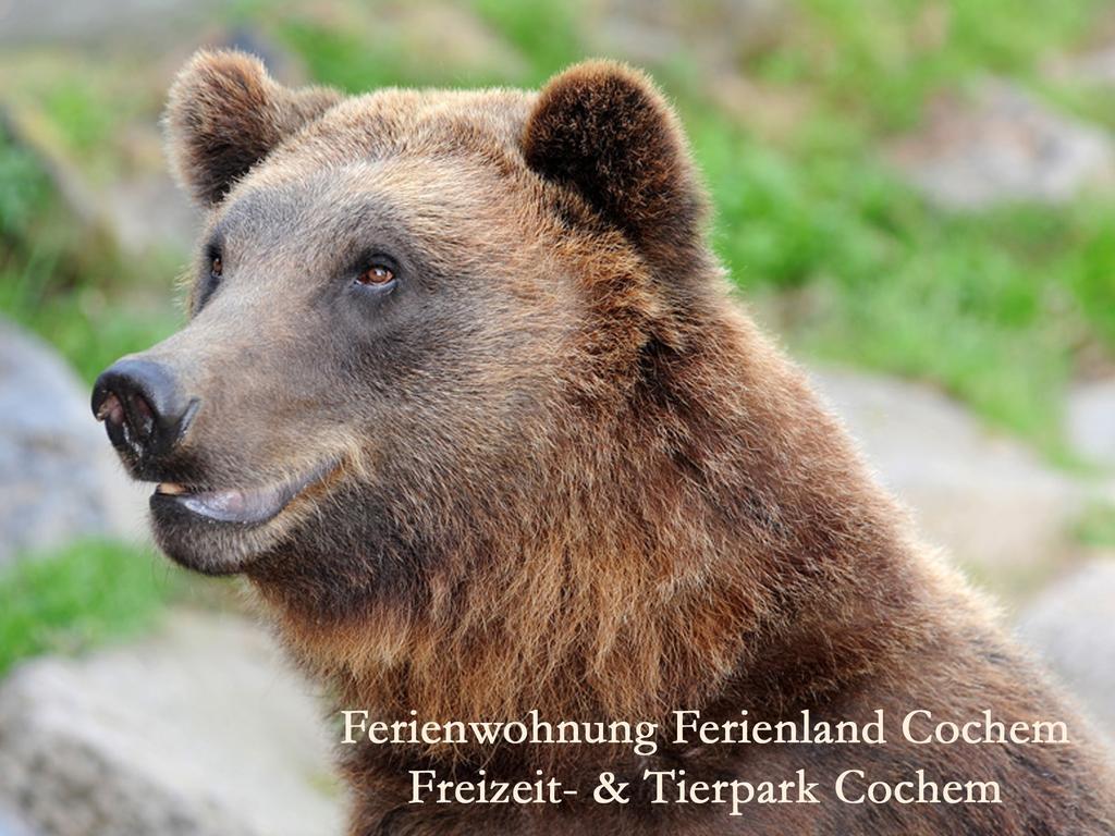 Ferienwohnungen Ferienland Cochem Bruttig-Fankel Exteriér fotografie