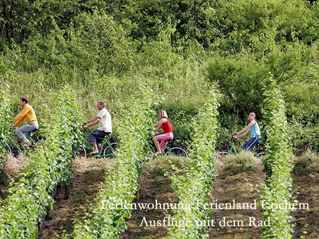Ferienwohnungen Ferienland Cochem Bruttig-Fankel Exteriér fotografie