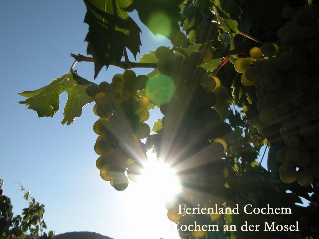Ferienwohnungen Ferienland Cochem Bruttig-Fankel Exteriér fotografie